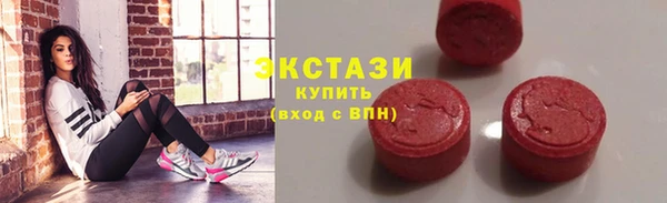 гидра Богородск