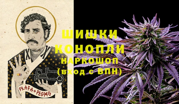 шишки Богданович