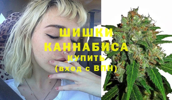 шишки Богданович