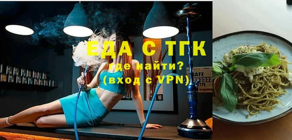 гидра Богородск